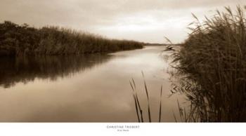 River Reeds | Obraz na stenu