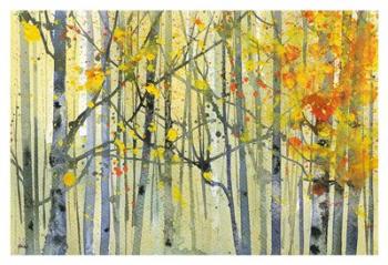 Autumn Birches | Obraz na stenu