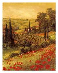 Toscano Valley II | Obraz na stenu