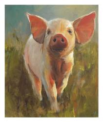 Morning Pig | Obraz na stenu