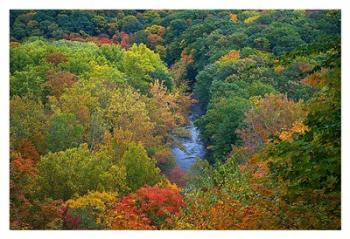 Autumn River | Obraz na stenu