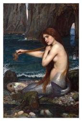 A Mermaid | Obraz na stenu