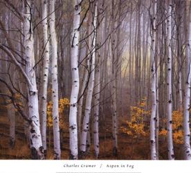 Aspen In Fog | Obraz na stenu