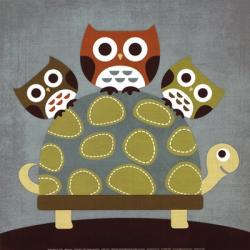 Three Owls on Turtle | Obraz na stenu