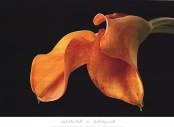 Double Orange Calla | Obraz na stenu