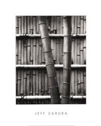 Bamboo and Wall | Obraz na stenu