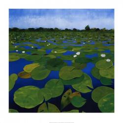 Waterlilies | Obraz na stenu