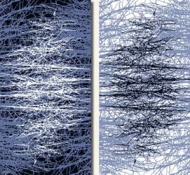 Komp_007-A