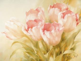 Pink Tulips II