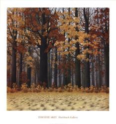 Autumn Wood | Obraz na stenu