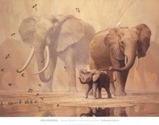 African Elephants and Namaqua Doves | Obraz na stenu