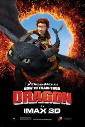 How to Train Your Dragon - Style F | Obraz na stenu