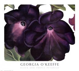 Black and Purple Petunias | Obraz na stenu