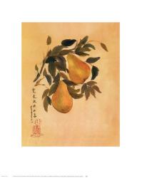 Pears | Obraz na stenu