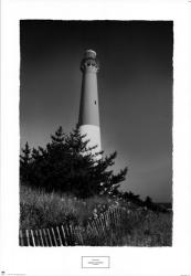 Barnegat Lighthouse | Obraz na stenu