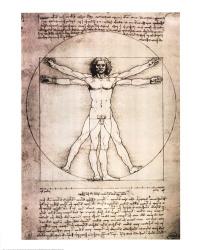 Vitruvian Man, 1492 | Obraz na stenu