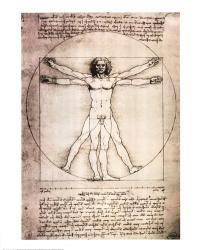 Leonardo Da Vinci - Vitruvian Man, 1492 Size 27.25x19 | Obraz na stenu