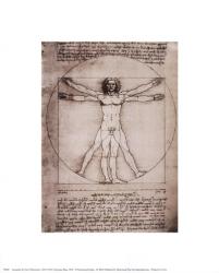 Leonardo Da Vinci - Vitruvian Man, 1492 Size 5x7 | Obraz na stenu