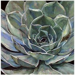 Agave Flower | Obraz na stenu