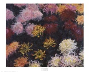 Chrysanthemum, 1897 | Obraz na stenu