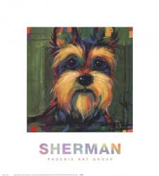 Sherman | Obraz na stenu