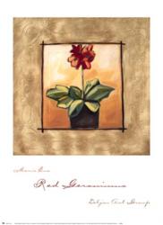 Red Geraniums | Obraz na stenu