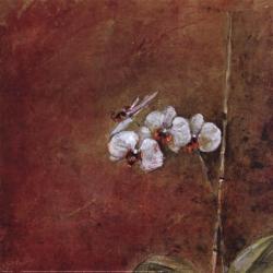 Orchid Series III (Simplicity III) | Obraz na stenu