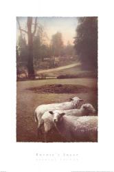 Ruthie's Sheep | Obraz na stenu