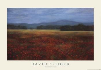 David Schock - French Poppy Fields Size 24x34.625 | Obraz na stenu