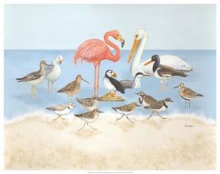Seabird Summit | Obraz na stenu