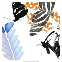 Butterfly Inflorescence II | Obraz na stenu