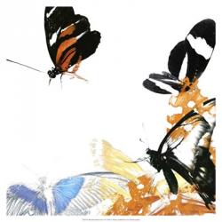Butterfly Inflorescence IV | Obraz na stenu