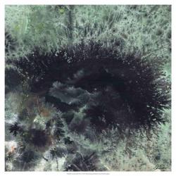 Coral & Jelly Fish I | Obraz na stenu