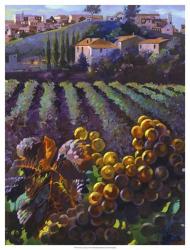 View of Tuscany | Obraz na stenu