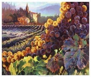 Tuscany Harvest | Obraz na stenu