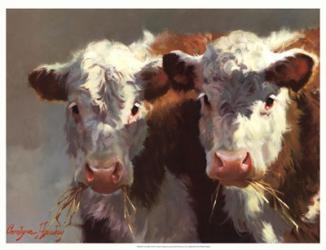 Cow Belles | Obraz na stenu