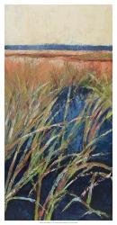 Pastel Wetlands I | Obraz na stenu