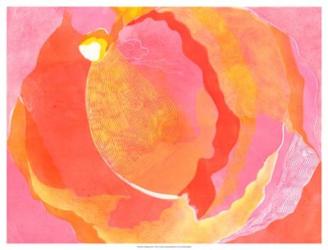 Cabbage Rose I | Obraz na stenu