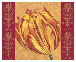 Tulip Power I | Obraz na stenu