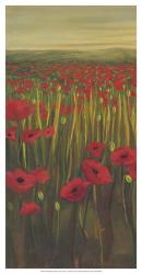 Red Poppies in Field I | Obraz na stenu