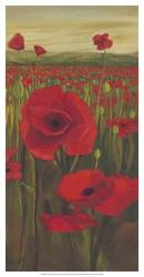 Red Poppies in Field II | Obraz na stenu