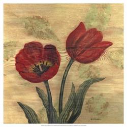 Tulip on Wood | Obraz na stenu