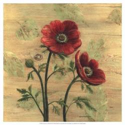 Anemone on Wood | Obraz na stenu