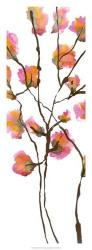 Inky Blossoms I | Obraz na stenu