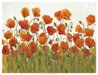 Rows of Poppies I | Obraz na stenu