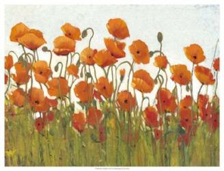 Rows of Poppies II | Obraz na stenu
