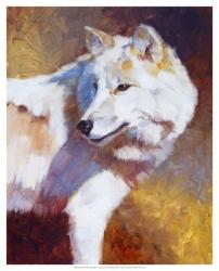 White Wolf | Obraz na stenu