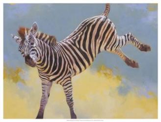 Bucking Zebra | Obraz na stenu