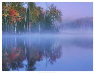Autumn Morning and Mist | Obraz na stenu