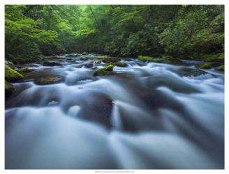 Great Smoky Mountain | Obraz na stenu